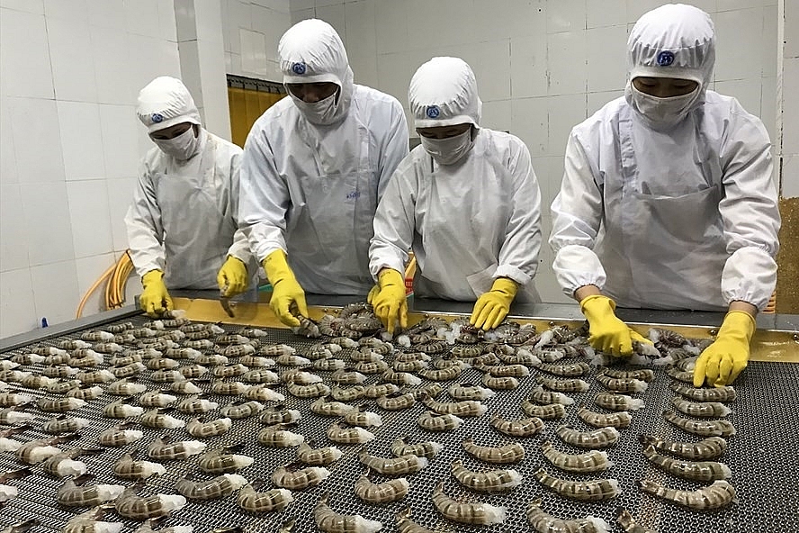 Les ventes de crevettes frétillent pendant les premiers mois de l’année
